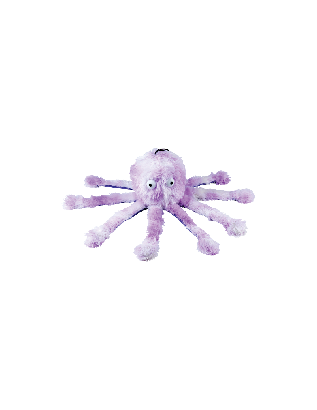 Octopus paars